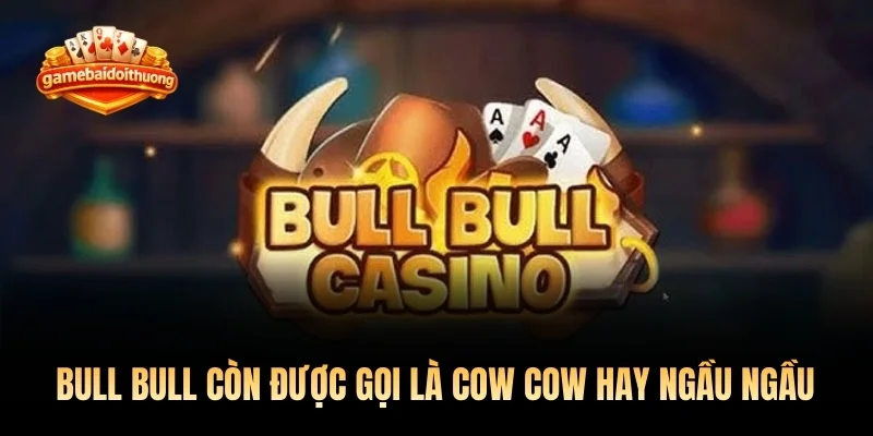 Game bài Bull Bull còn được gọi là Cow Cow hay ngầu ngầu