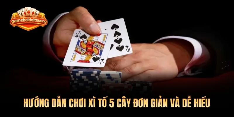 Hướng dẫn chơi xì tố 5 cây đơn giản và dễ hiểu