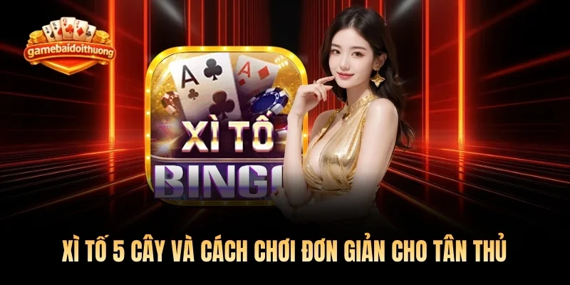 Xì Tố 5 Cây Và Cách Chơi Đơn Giản Cho Tân Thủ